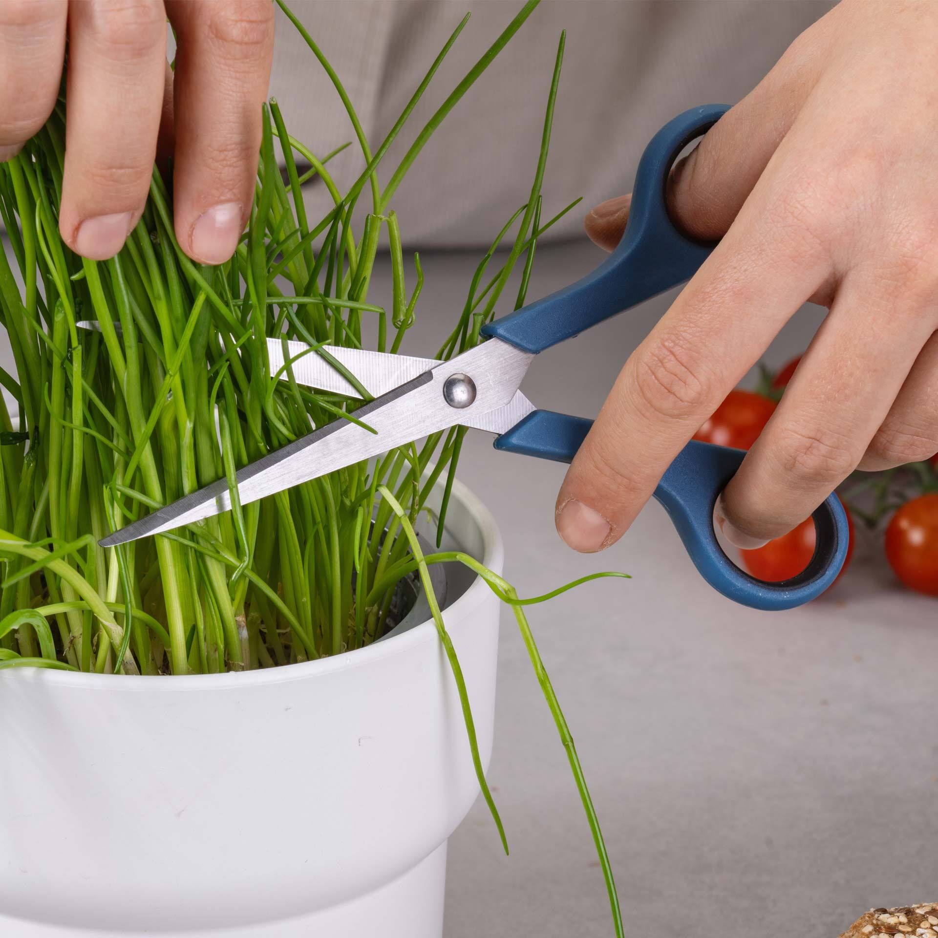 Uniwersalne nożyczki 17 cm – precyzja i wygoda w codziennym użytkowaniu