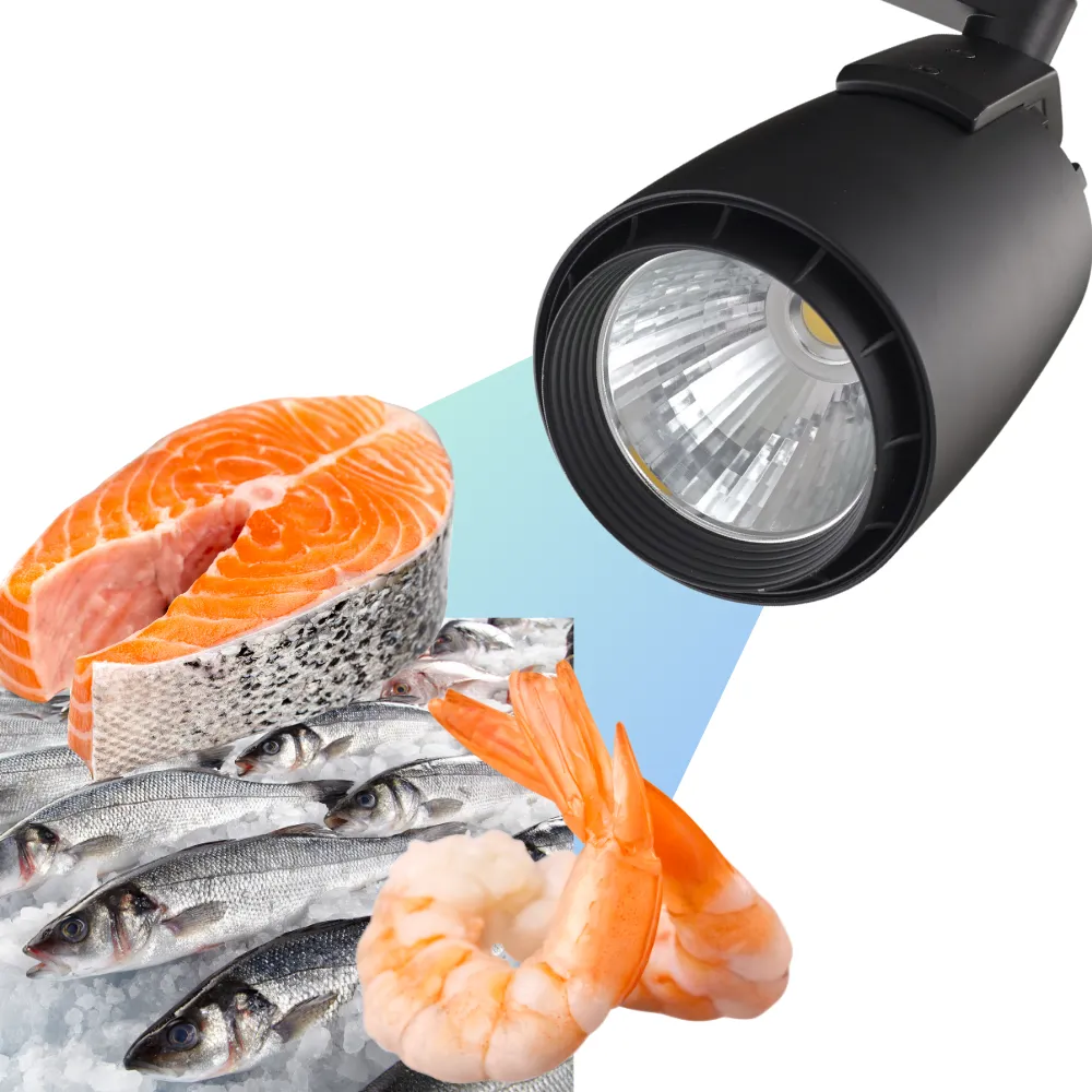 Reflektor Szynowy LED LedMaxx 302B 24W | Barwa 6000K – do Ryb i Owoców Morza