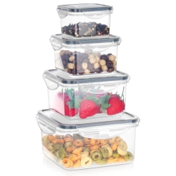 Food Containers with Lid and Gasket 4 pcs